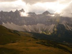 2013-09-08_6Falkenh-Steinfalk (143).JPG